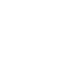 Logo Polarea Nuevo Polanco